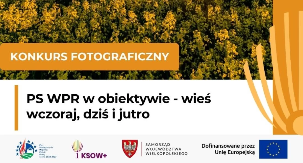 Konkursy, Konkurs fotograficzny - zdjęcie, fotografia