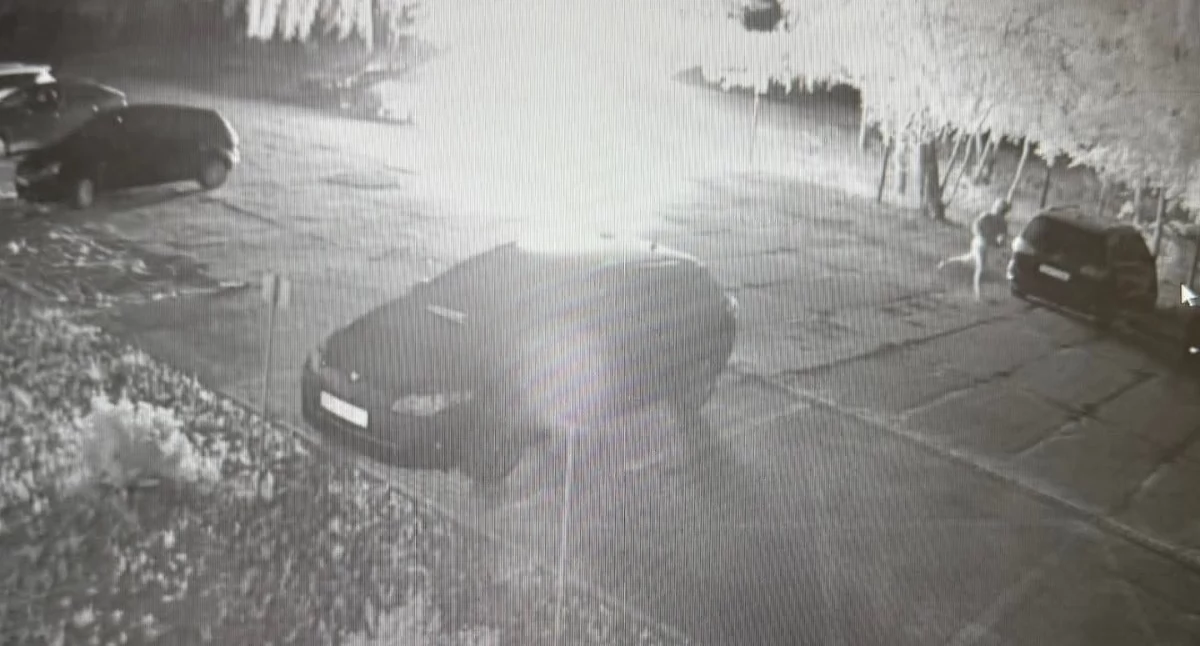 Fot. KP Policji w Gnieźnie 