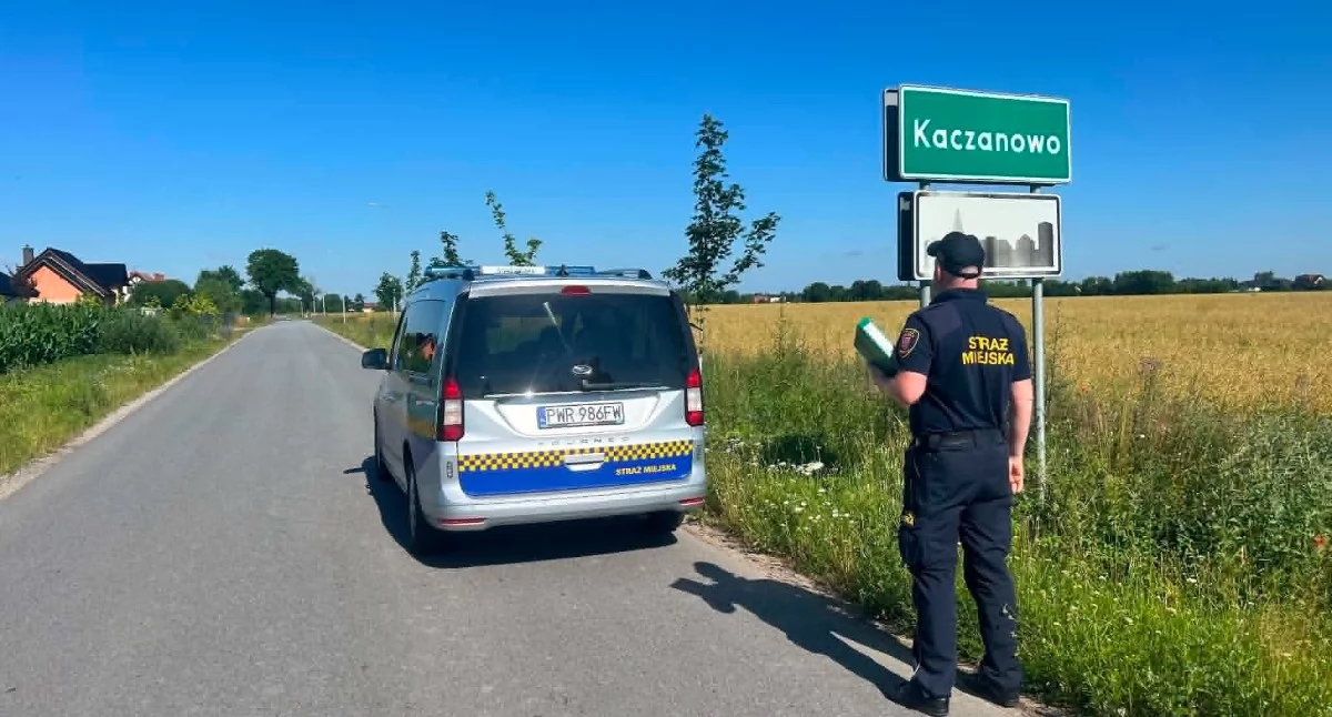 fot. Straż Miejska we Wrześni