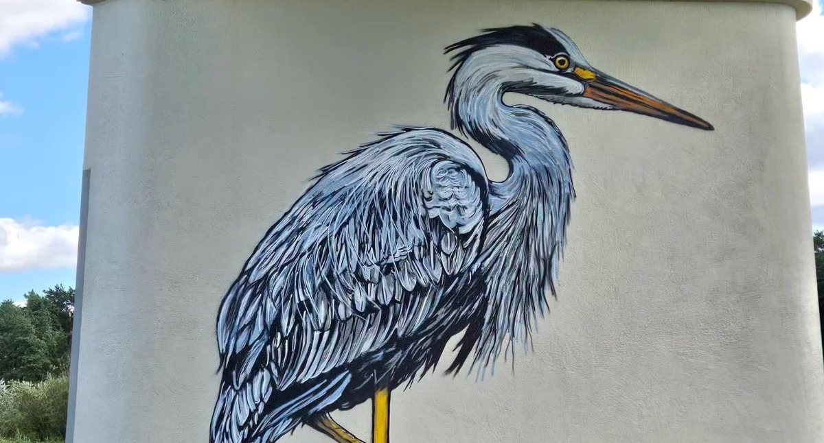 Projekty , Wyjątkowy mural Pyzdrach - zdjęcie, fotografia