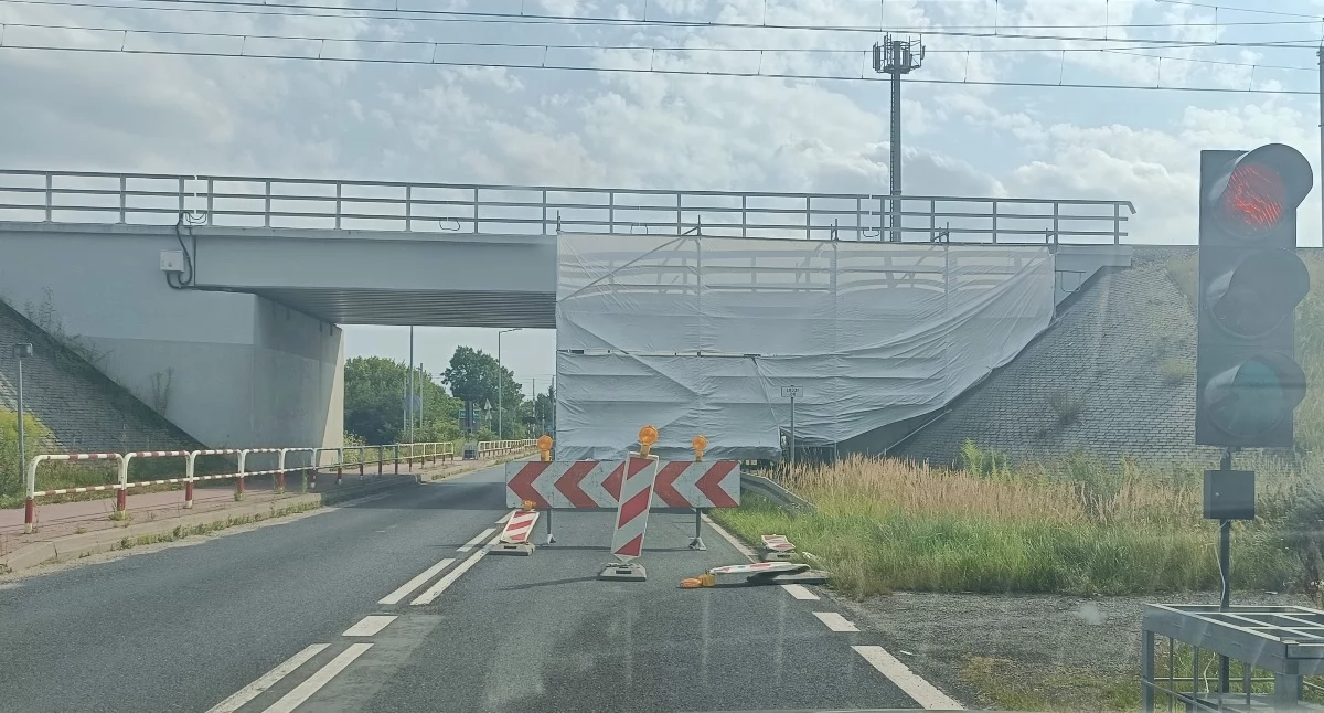 fot. NowaWrzesnia.pl 
