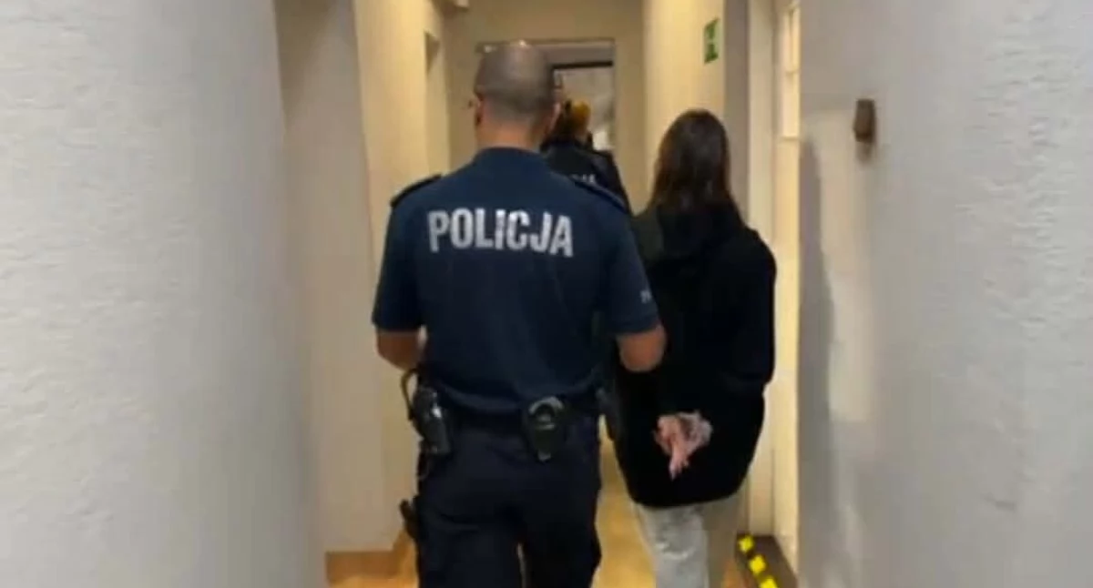 Kronika policyjna, Nietrzeźwa Wrześnianka spowodowała kolizję Fromborskiej - zdjęcie, fotografia