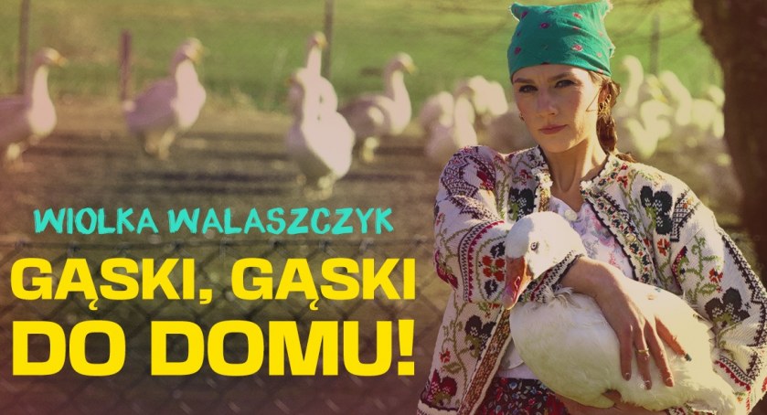 Nowy program Wiolki Walaszczyk 