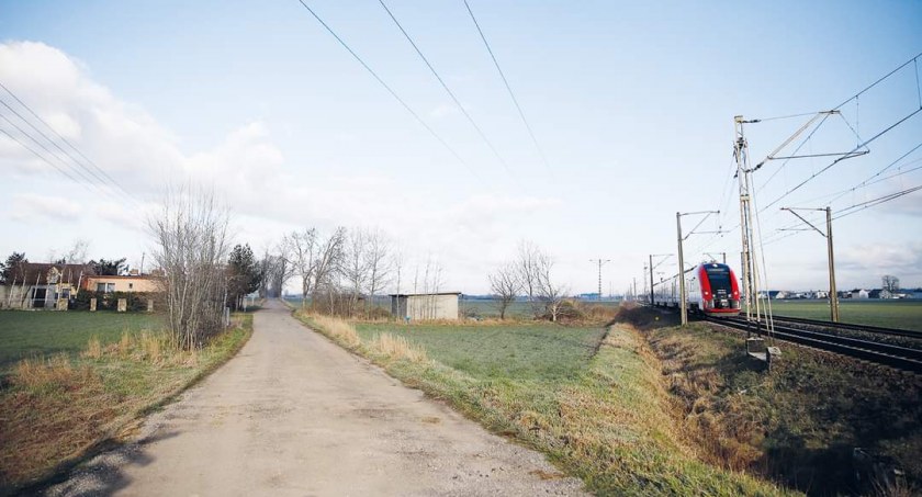 Fot. UMiG we Wrześni 
