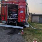 Fotka nr 2 z 5