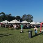 zdjęcie nr 11