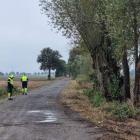 Fotka nr 1 z 4