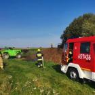 Fotka nr 1 z 5