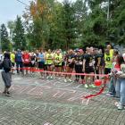 zdjęcie nr 14