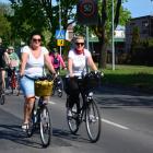 zdjęcie nr 45