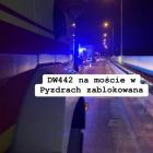 Fotka nr 5 z 6