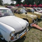 zdjęcie nr 35