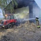 Fotka nr 3 z 14