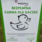 Fotka nr 3 z 4