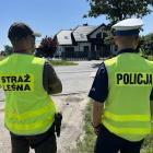 Fotka nr 1 z 5