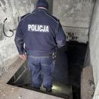 Fotka nr 4 z 8