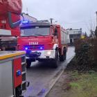Fotka nr 1 z 4