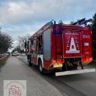 Fotka nr 1 z 3