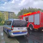 Fotka nr 2 z 11