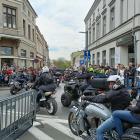 zdjęcie nr 42