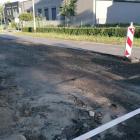 Fotka nr 4 z 17