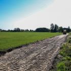Fotka nr 2 z 6