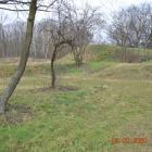 zdjęcie nr 7