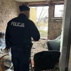 Fotka nr 1 z 4