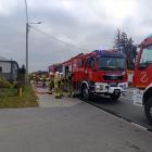 zdjęcie nr 8