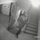 Fotka nr 1 z 2
