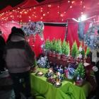 zdjęcie nr 7