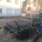 zdjęcie nr 8