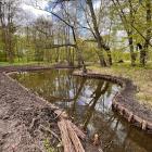 zdjęcie nr 8
