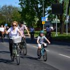 zdjęcie nr 243