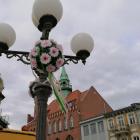 zdjęcie nr 11