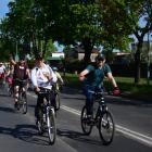 zdjęcie nr 231