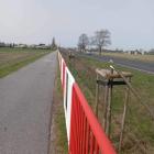 Fotka nr 1 z 3