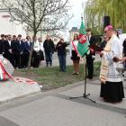 zdjęcie nr 22