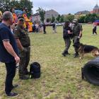Fotka nr 1 z 16