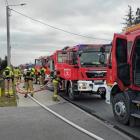 Fotka nr 1 z 9