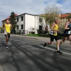 zdjęcie nr 25