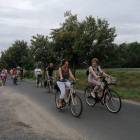 zdjęcie nr 34