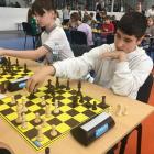Fotka nr 3 z 6