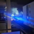 Fotka nr 2 z 8