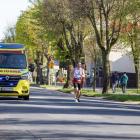 zdjęcie nr 12