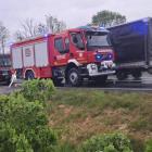 Fotka nr 2 z 3