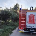 Fotka nr 2 z 6