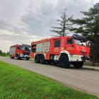 Fotka nr 2 z 3