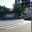 Fotka nr 2 z 5
