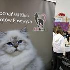 Fotka nr 3 z 62